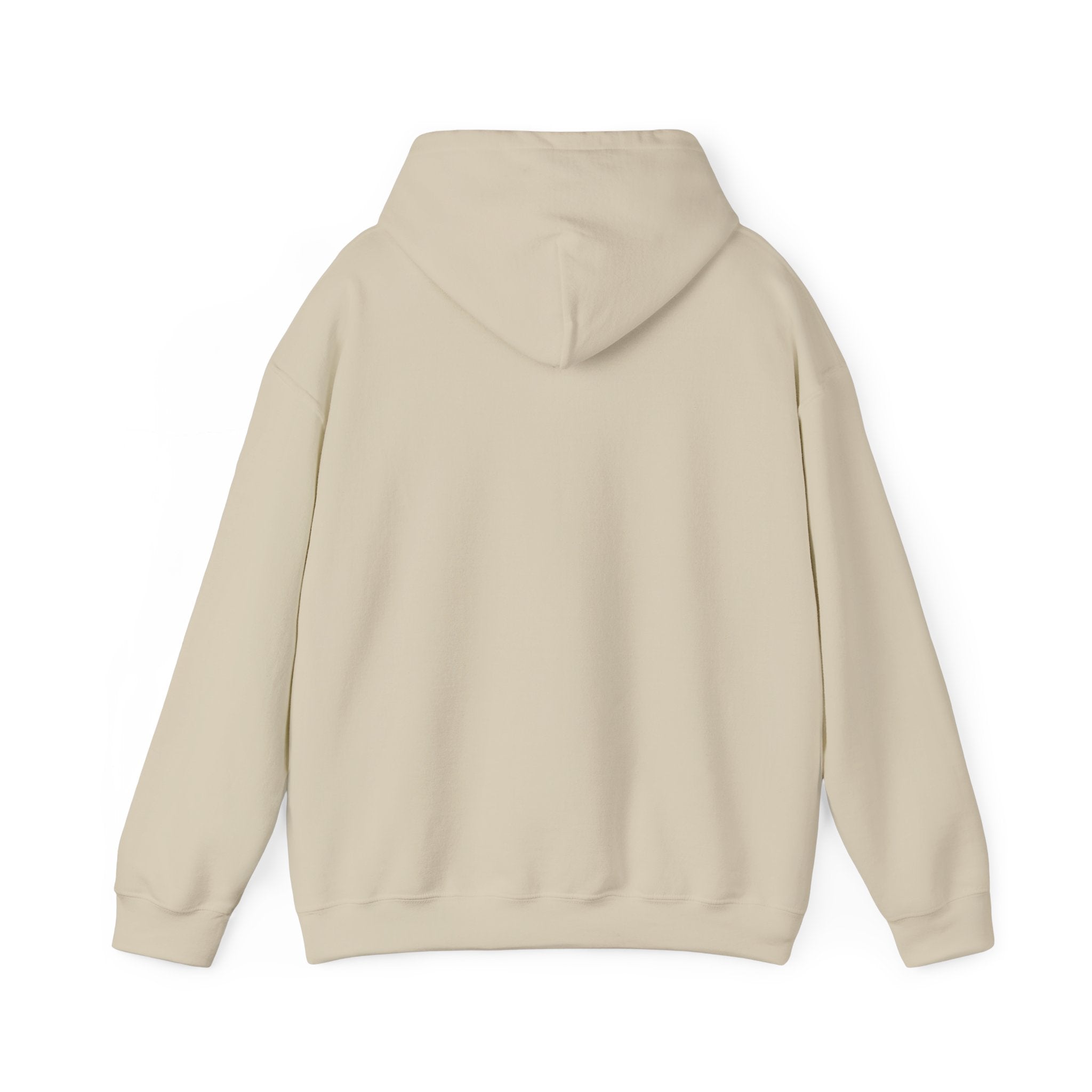 Bald Eagle "Adventure Awaits" Sweatshirt Hoodie