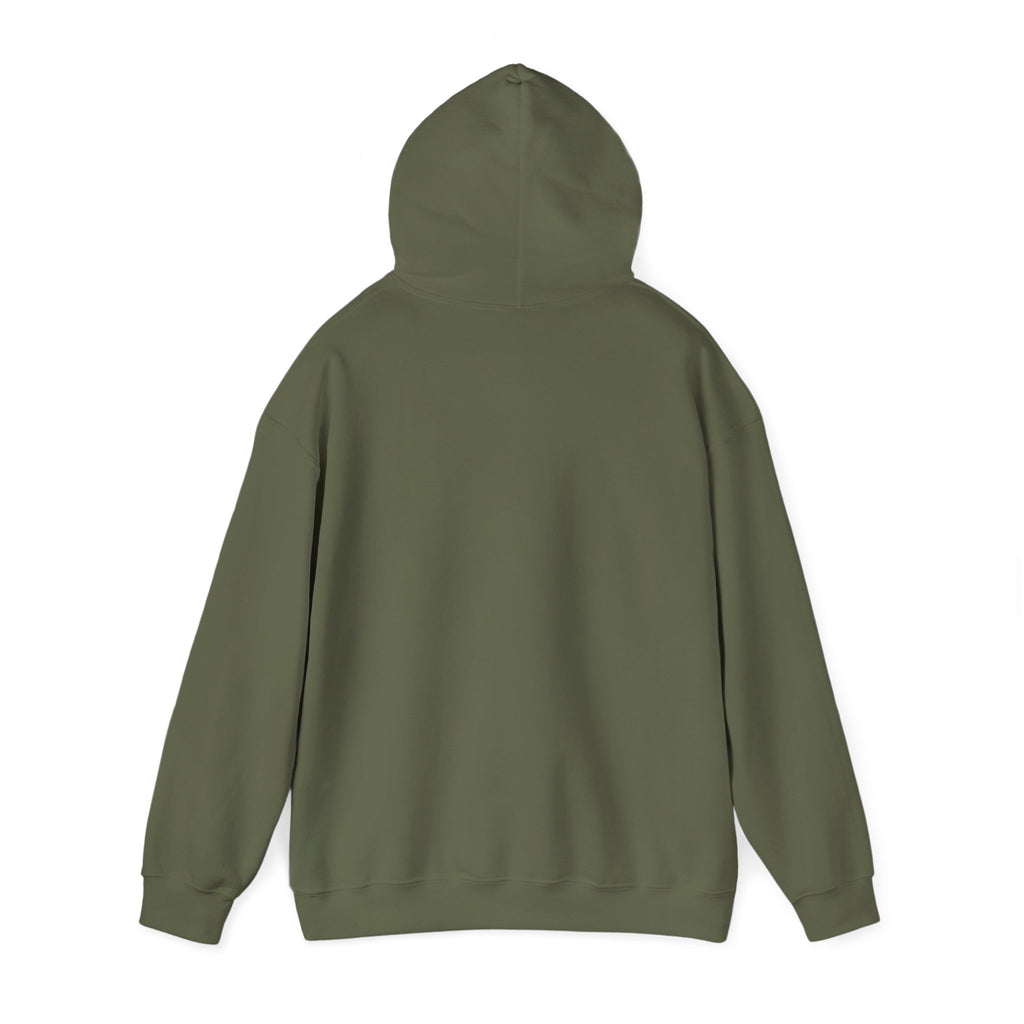 Bald Eagle "Adventure Awaits" Sweatshirt Hoodie