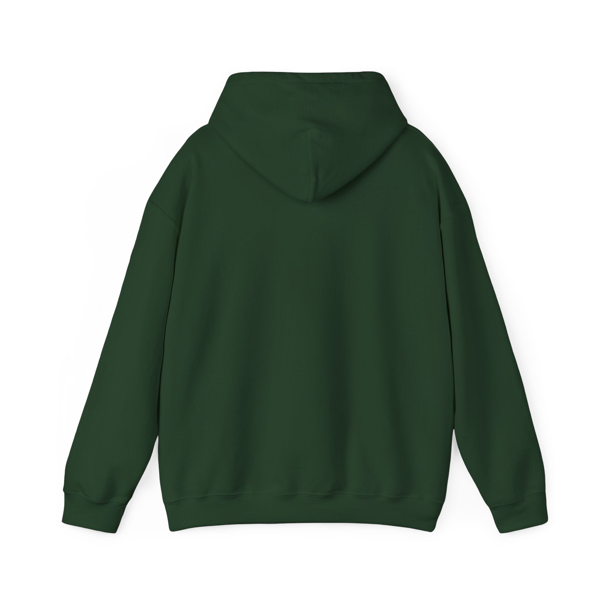 Bald Eagle "Adventure Awaits" Sweatshirt Hoodie