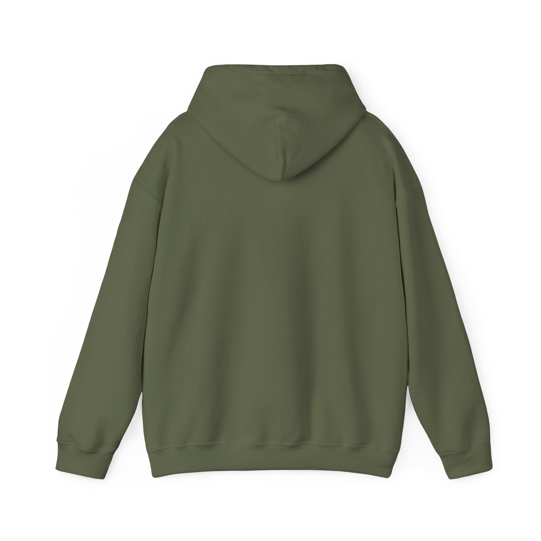 Bald Eagle "Adventure Awaits" Sweatshirt Hoodie