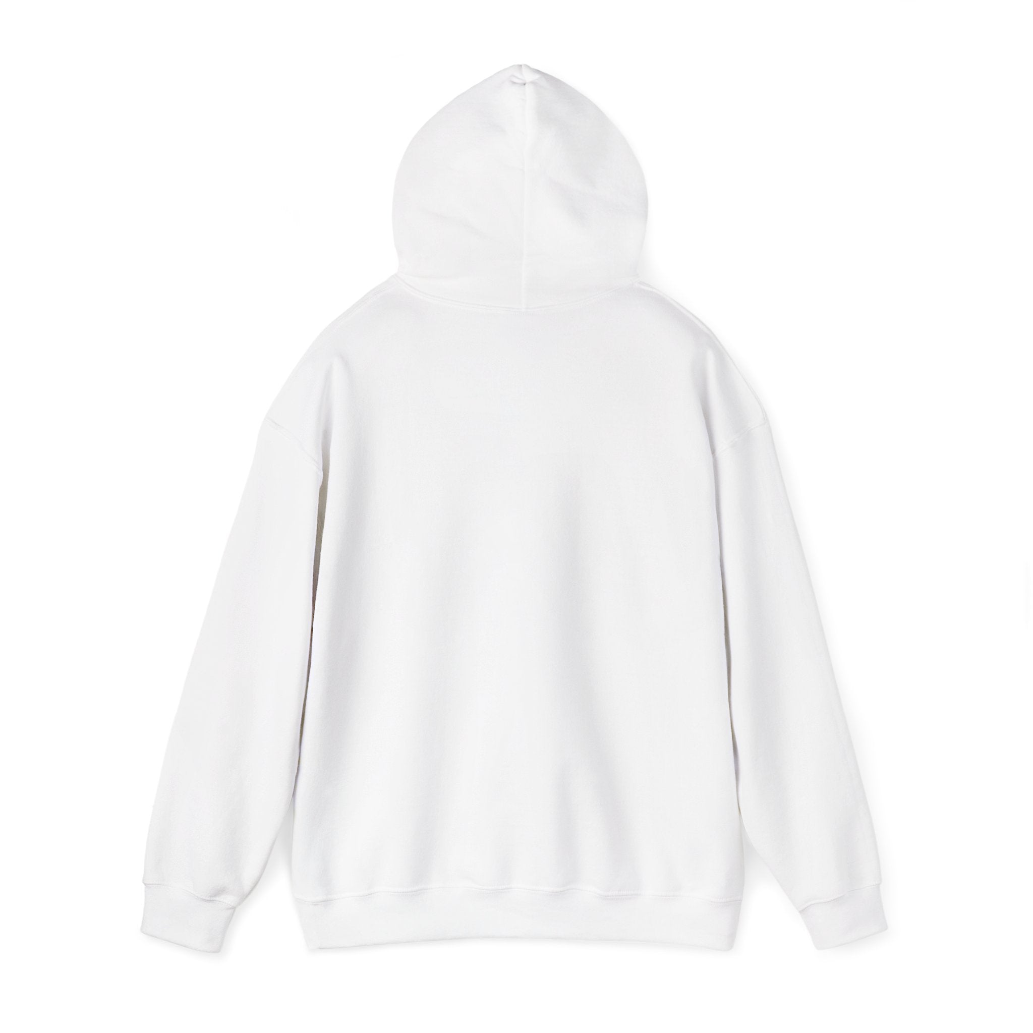Bald Eagle "Adventure Awaits" Sweatshirt Hoodie