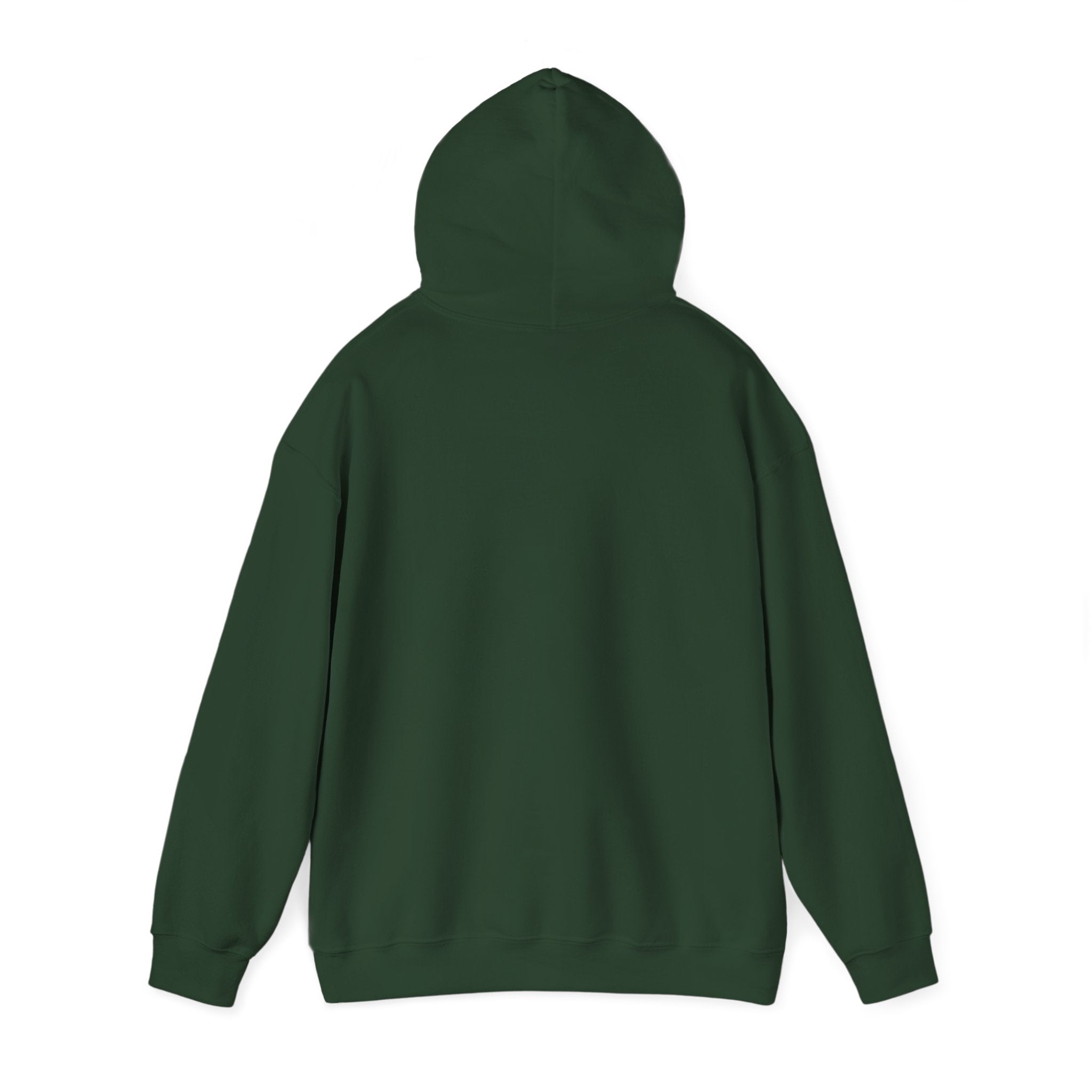 Bald Eagle "Adventure Awaits" Sweatshirt Hoodie