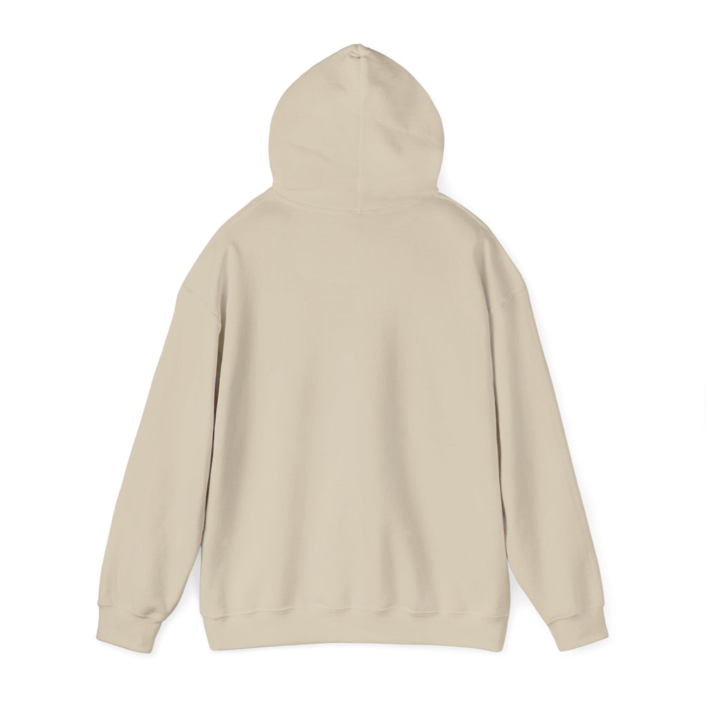 Bald Eagle "Adventure Awaits" Sweatshirt Hoodie