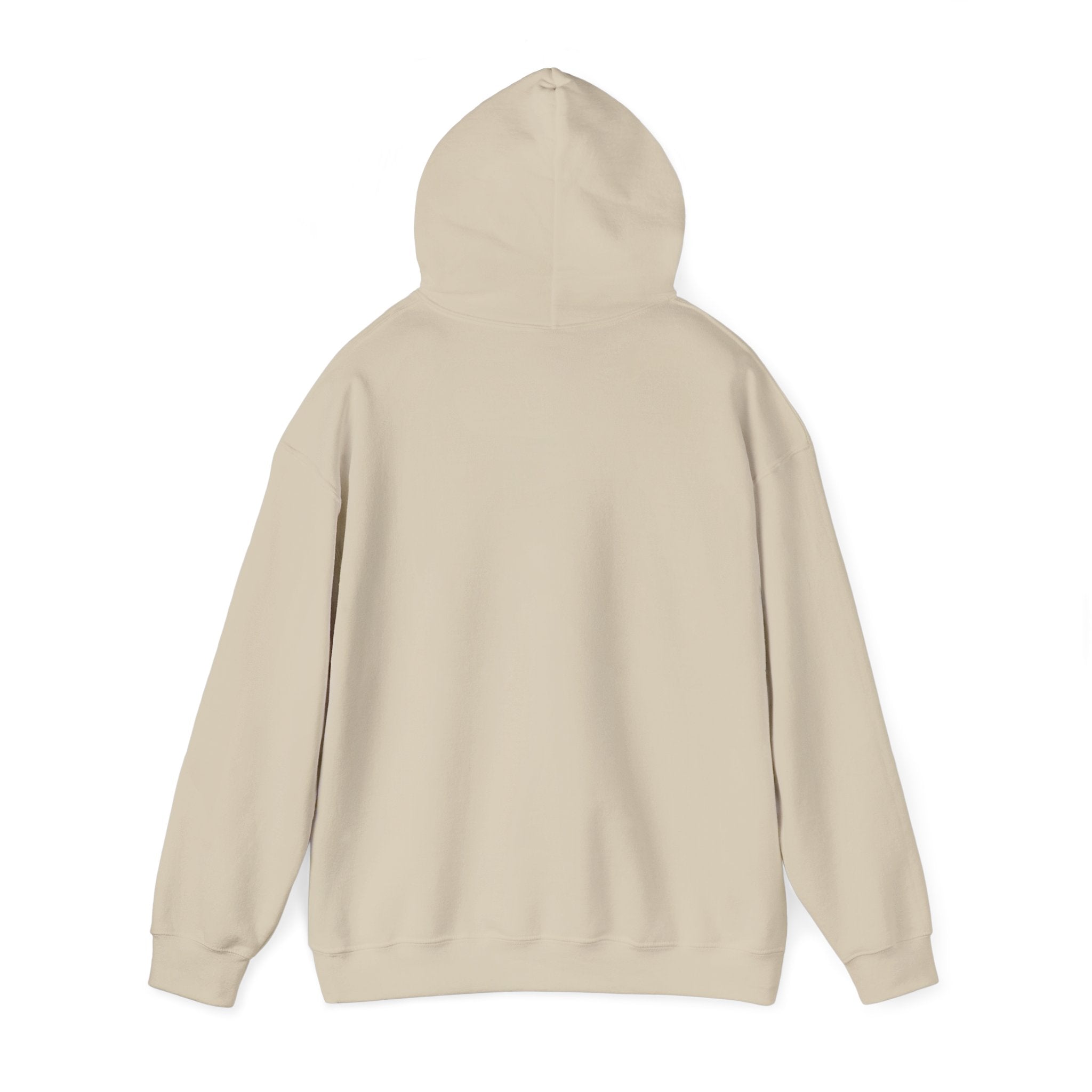 Bald Eagle "Adventure Awaits" Sweatshirt Hoodie